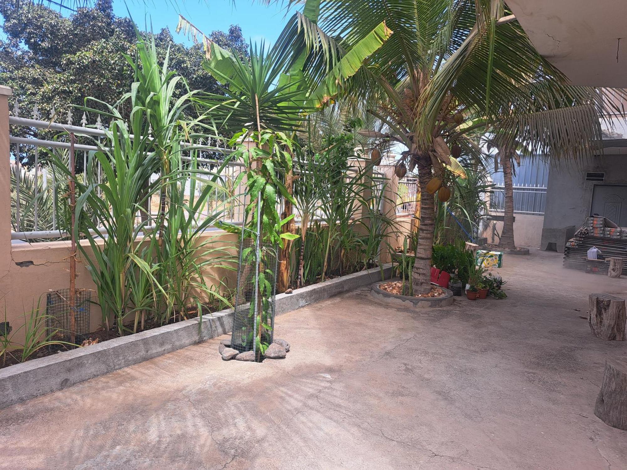 Barros Homestay Tarrafal  Exterior photo